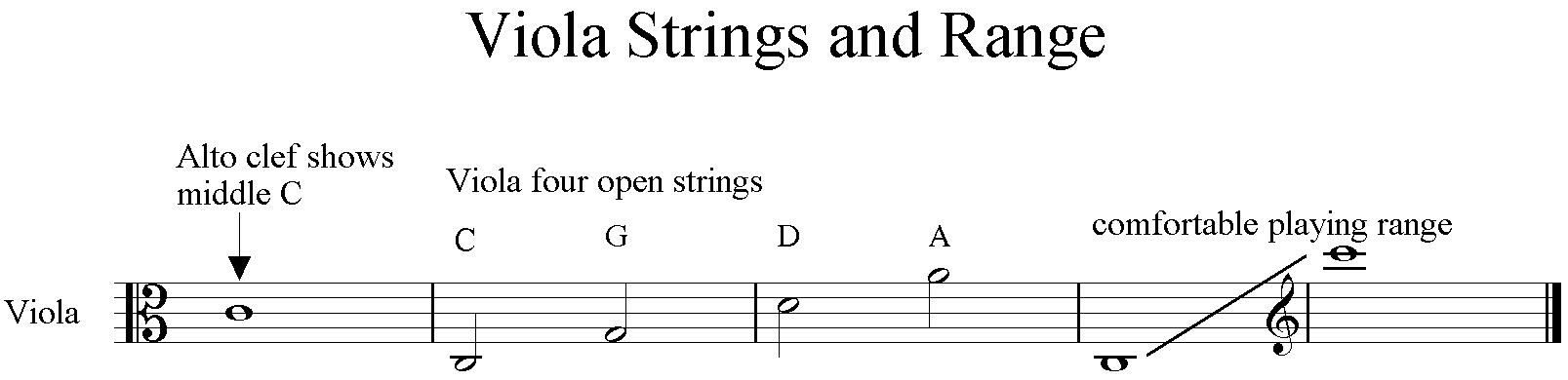 Viola перевод песни. Viola перевод. Alto Clef музыка. Viola DBT характеристики. Viola String height.